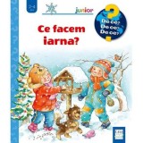 Ce facem iarna?, Casa