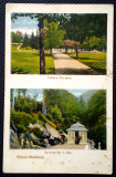 P.230 CP SLANIC MOLDOVA VEDERE DIN PARC IZVORUL NR. 1 BIS. 1937