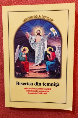 Biserica din temnita. Editura Vicovia, 2008 - Teolog Vasilica Militaru foto