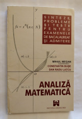 Analiza matematica, Mihail Megan, 1995 foto