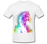 Cumpara ieftin Tricou &quot; Cal curcubeu &quot;