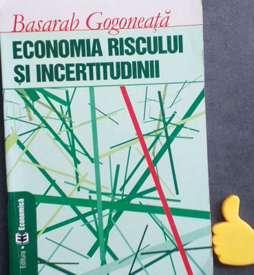 Economia riscului si incertitudinii Basarab Gogoneata foto