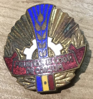 Insigna Cooperator Fruntas in intrecerea foto