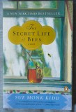 Sue Monk Kidd - The Secret Life of Bees (a novel) (Viața secretă a albinelor)