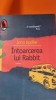 Intoarcerea lui Rabbit - John Updike, Humanitas, 2008, Roman Beletristica, 440 pagini
