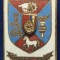 Insigna stema Județul Iasi