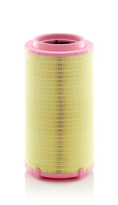 MANN-FILTER C 27 038 Filtru aer foto