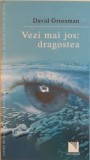 VEZI MAI JOS : DRAGOSTEA de DAVID GROSSMAN , 2007