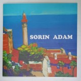 SORIN ADAM , PICTURA , CATALOG DE EXPOZITIE , 2009