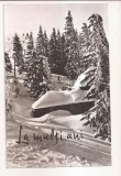 RF67 -Carte Postala- Peisaj de iarna pe Muntele Mic, circulata 1969