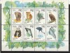 Fauna gradina zoo ,Rusia., Nestampilat