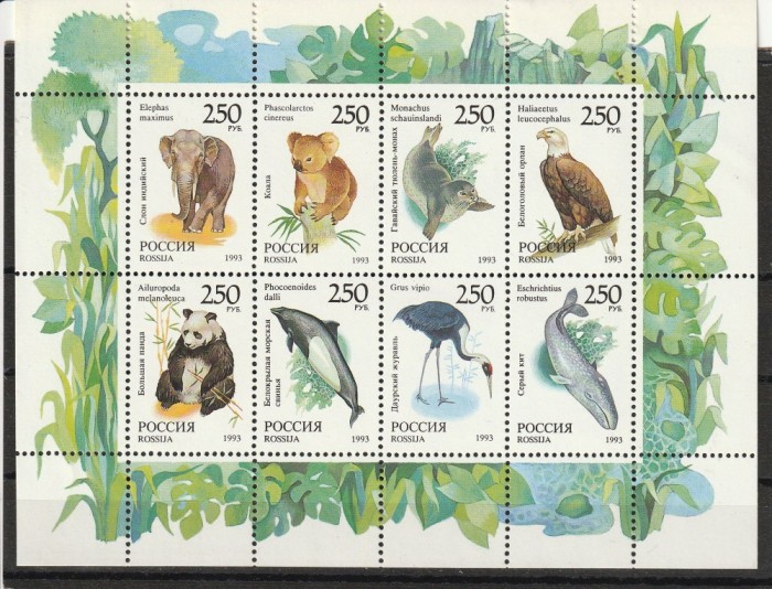 Fauna gradina zoo ,Rusia.
