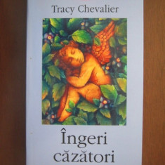 Tracy Chevalier - Ingeri cazatori