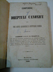 COMPENDIU DE DREPTULU CANONICU - 1868 ( DREPT CANONIC - SAGUNA) foto