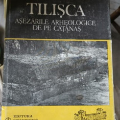 TILISCA. ASEZARILE ARHEOLOGICE DE LA CATANAS - NICOLAE LUPU