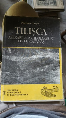 TILISCA. ASEZARILE ARHEOLOGICE DE LA CATANAS - NICOLAE LUPU foto