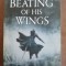The beating of his wings- Paul Hoffman