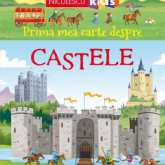 Prima mea carte despre CASTELE - Paperback brosat - Abigail Wheatley - Niculescu