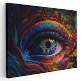 Tablou ochi cu design creativ multicolor detaliu 1674 Tablou canvas pe panza CU RAMA 60x80 cm
