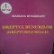 Mariana Rudareanu - Dreptul bunurilor (Editia: 2007)