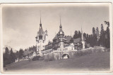 Bnk cp Sinaia - Castelul Peles - circulata interbelica, Fotografie