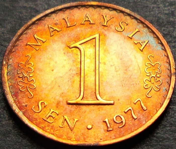 Moneda exotica 1 SEN - MALAEZIA, anul 1977 *cod 5315 = UNC patina deosebita
