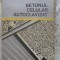 BETONUL CELULAR AUTOCLAVIZAT-M. SIMONICI, C. DOBRESCU-232993