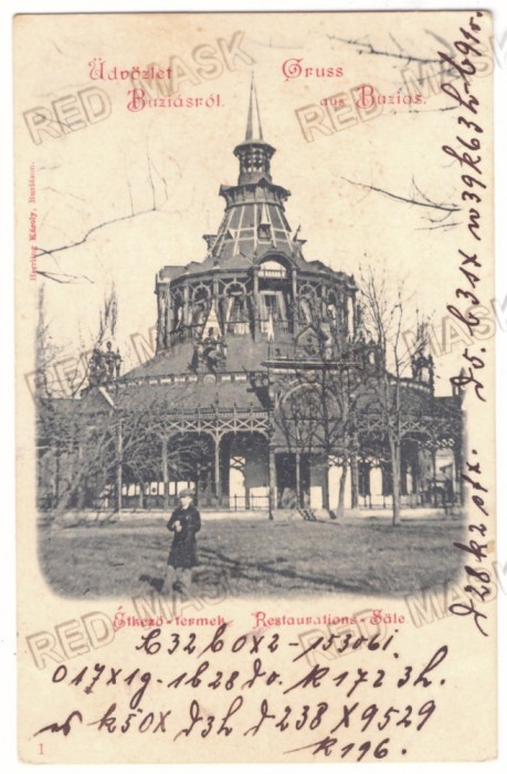1289 - BUZIAS, Timis, Litho, Romania - old postcard - used - 1903