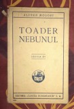 Toader nebunul : [roman] / Alfred Mosoiu