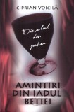 Diavolul din pahar. Amintiri din iadul betiei - Ciprian Voicila