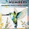 Paint by Numbers: Coloring Pixel &amp; Areas Book