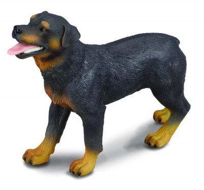 Rottweiler - Animal figurina foto