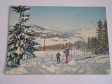 BVS - NORVEGIA 5