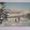 BVS - NORVEGIA 5