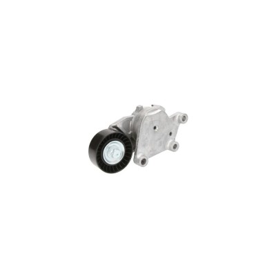 Intinzator curea CITROEN DS3 Cabriolet DAYCO APV2466 foto