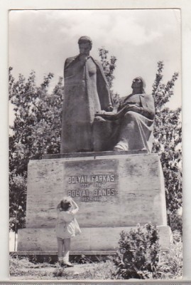 bnk cp Targu Mures - Monumentul lui Farkas si Janos Bolyai - circulata foto