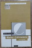 Matei Calinescu, monografie - Stefan Borbely