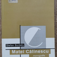 Matei Calinescu, monografie - Stefan Borbely