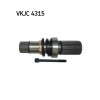 SKF Arbore, diferential