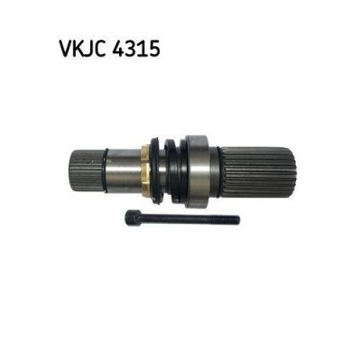 SKF Arbore, diferential foto