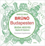 Buda hegyei l&eacute;p&eacute;sről l&eacute;p&eacute;sre - Br&uacute;n&oacute; Budapesten 2. - F&eacute;nyk&eacute;pes foglalkoztat&oacute; - Bartos Erika