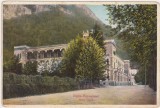 CP Herculane Hotel Carol ND(1923), Circulata, Fotografie, Baile Herculane