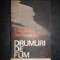 CORNELIU STEFANACHE - DRUMURI DE FUM