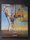 DALI - Gilles Neret