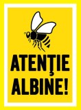 Placute atentie albine