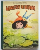 INTOARCEREA LUI NEGHINITA de ALEXANDRU MITRU , COPERTA SI ILUSTRATII DE COCA CRETOIU SEINESCU