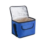 Geanta izotermica Aliamar CoolBag ACB-0554 31 x 24 x 20 cm, Albastru, 14 L, Oem