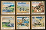 Ajman 1971 - UNICEF, supratipar pe cercetasi, serie nedantelata neuzata
