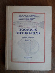 Zoologia vertebratelor, lucrari practice - V. Grossu / R4P2F foto