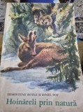 Hoinareli prin natura de Demostene Botez ,ilustratii Coca Cretoiu Seinescu(1972)